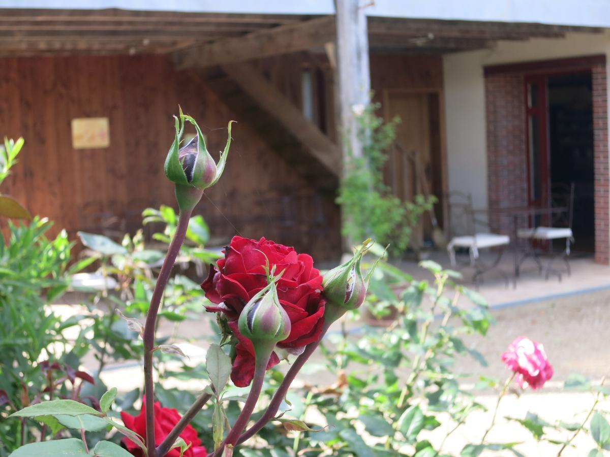 Les Jardins De Lily Hotel แซ็งต์-เลโอนาร์-เดอ-โนบลาต์ ภายนอก รูปภาพ